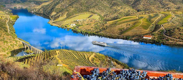 Vale do Douro